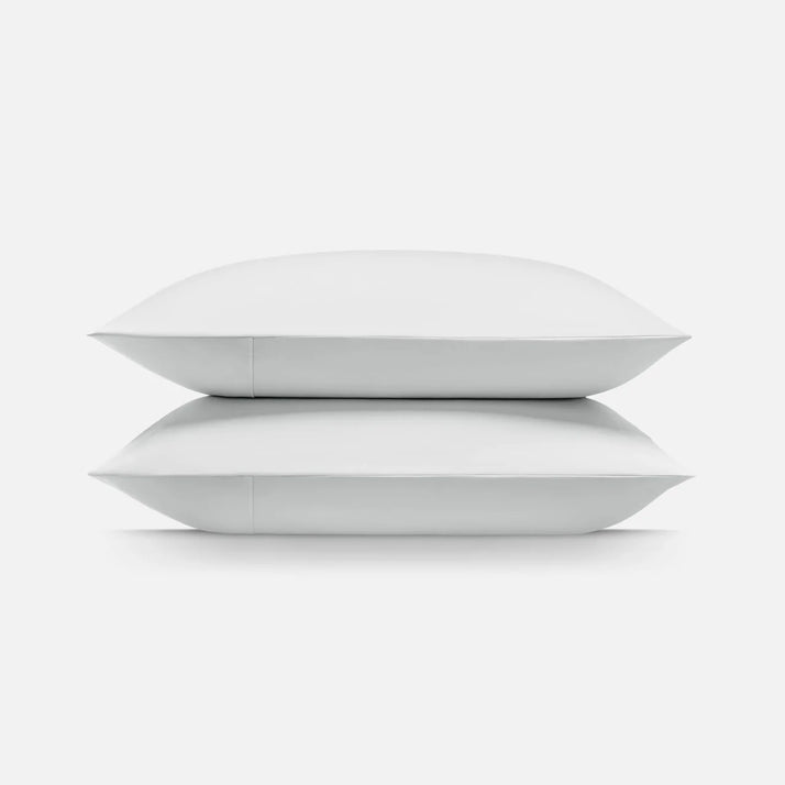 Arctic White