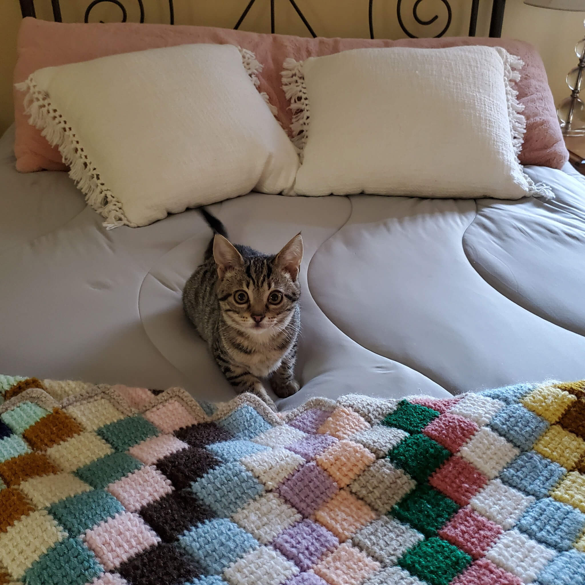 Comforter Product Reviews